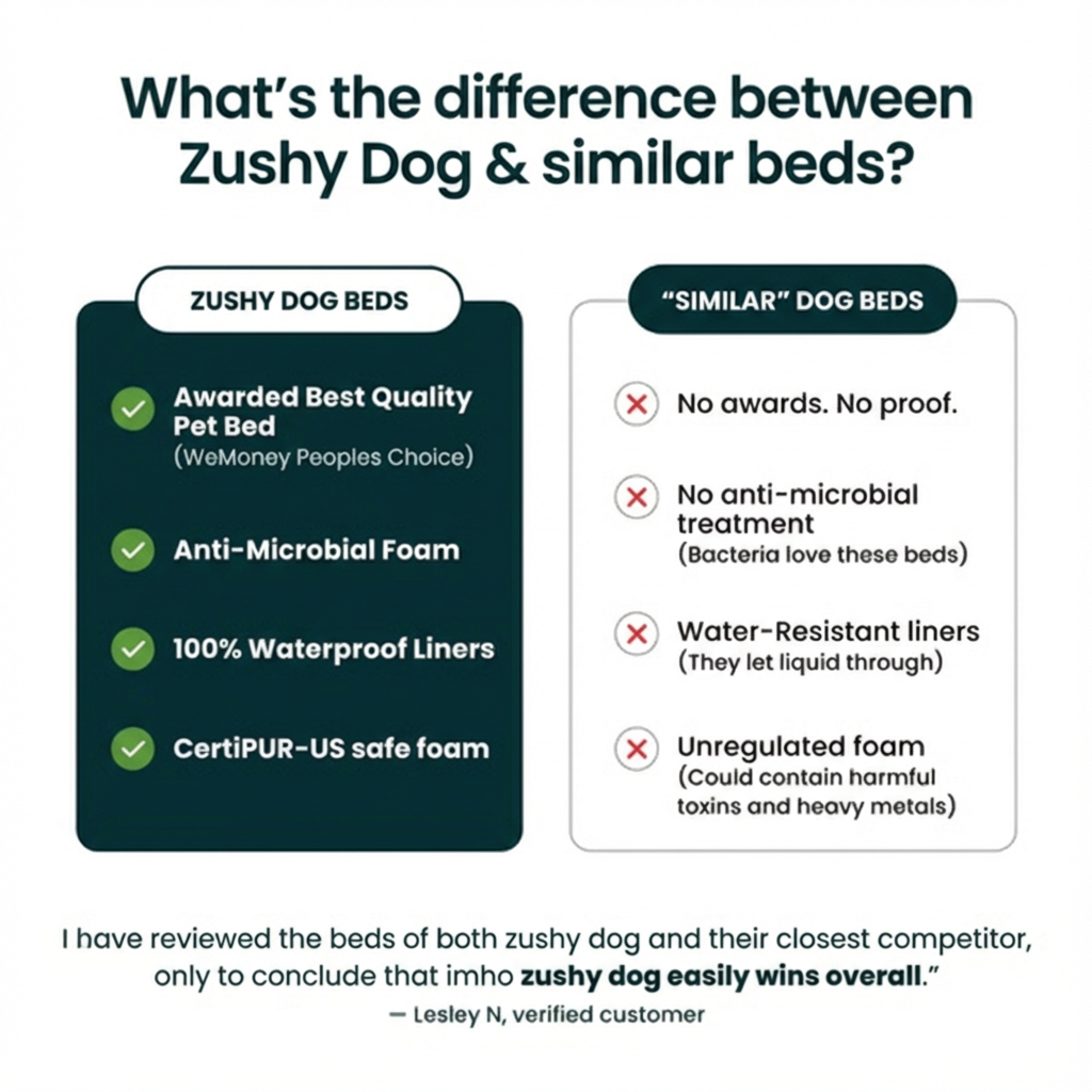 Memory Foam Dog Bed - Canvas Seafoam