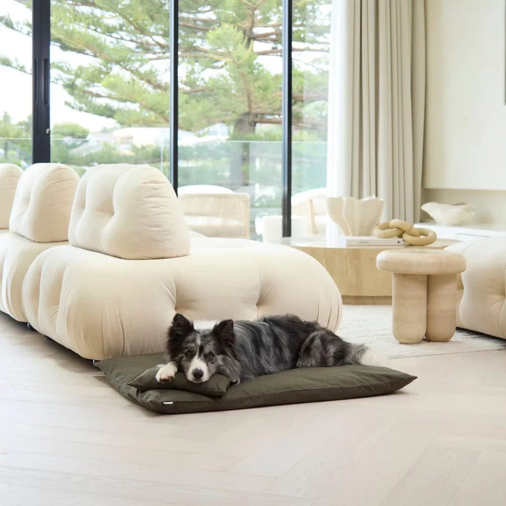 Cooling Pillow - Seaweed