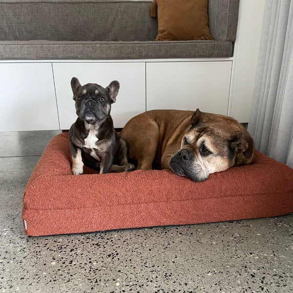 Size Medium - Image 2