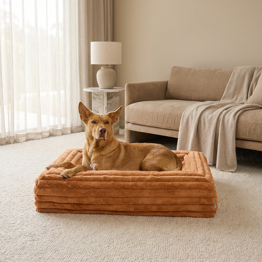 Memory Foam Dog Bed - Puffer Nutmeg