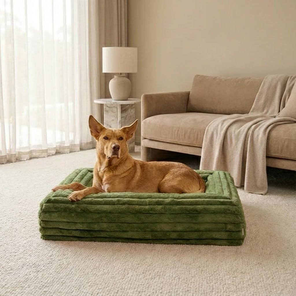 Memory Foam Dog Bed - Puffer Fern