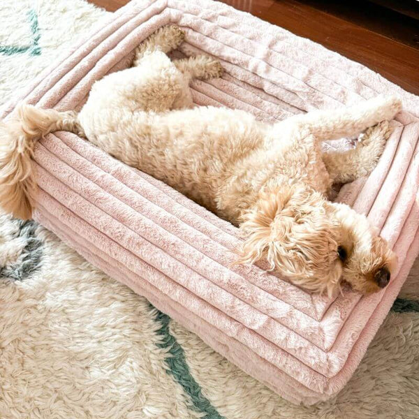 Size Small - Image 2