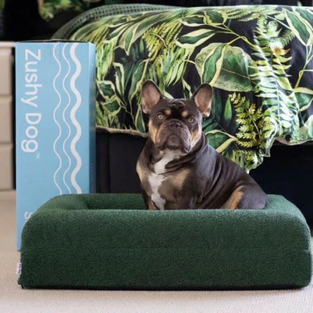 Memory Foam Dog Bed - Boucle Forest Green