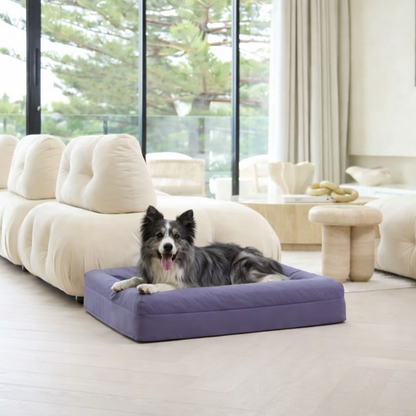 Cooling Dog Bed - Midnight Memory Foam