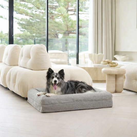 Memory Foam Dog Bed - Boucle Pebble