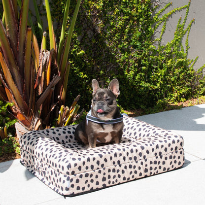 $50 Cover - Canvas Black Sands