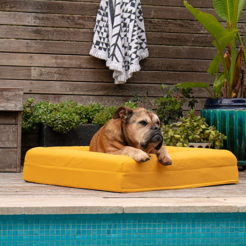 $50 Cover - Cooling Amber