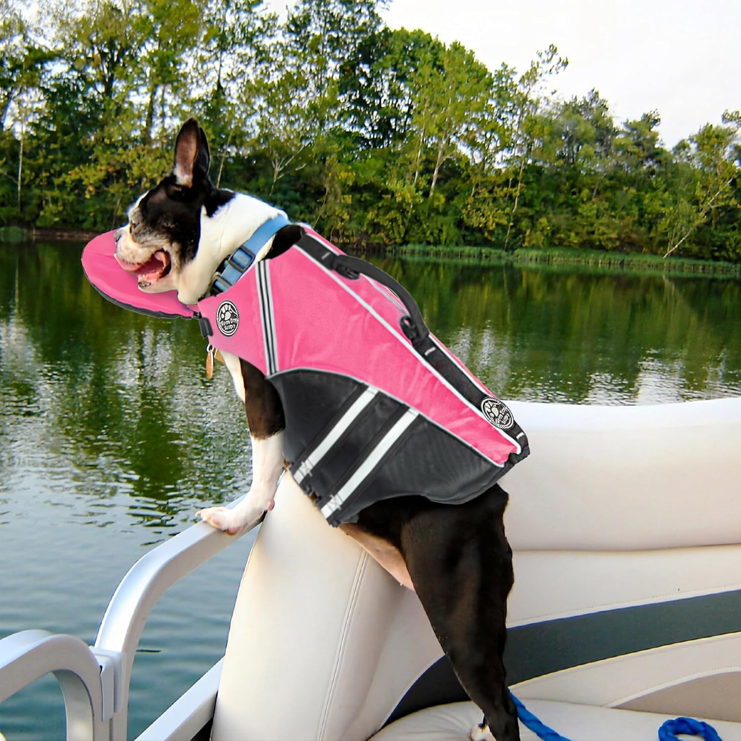 ZushyDog Life Jacket