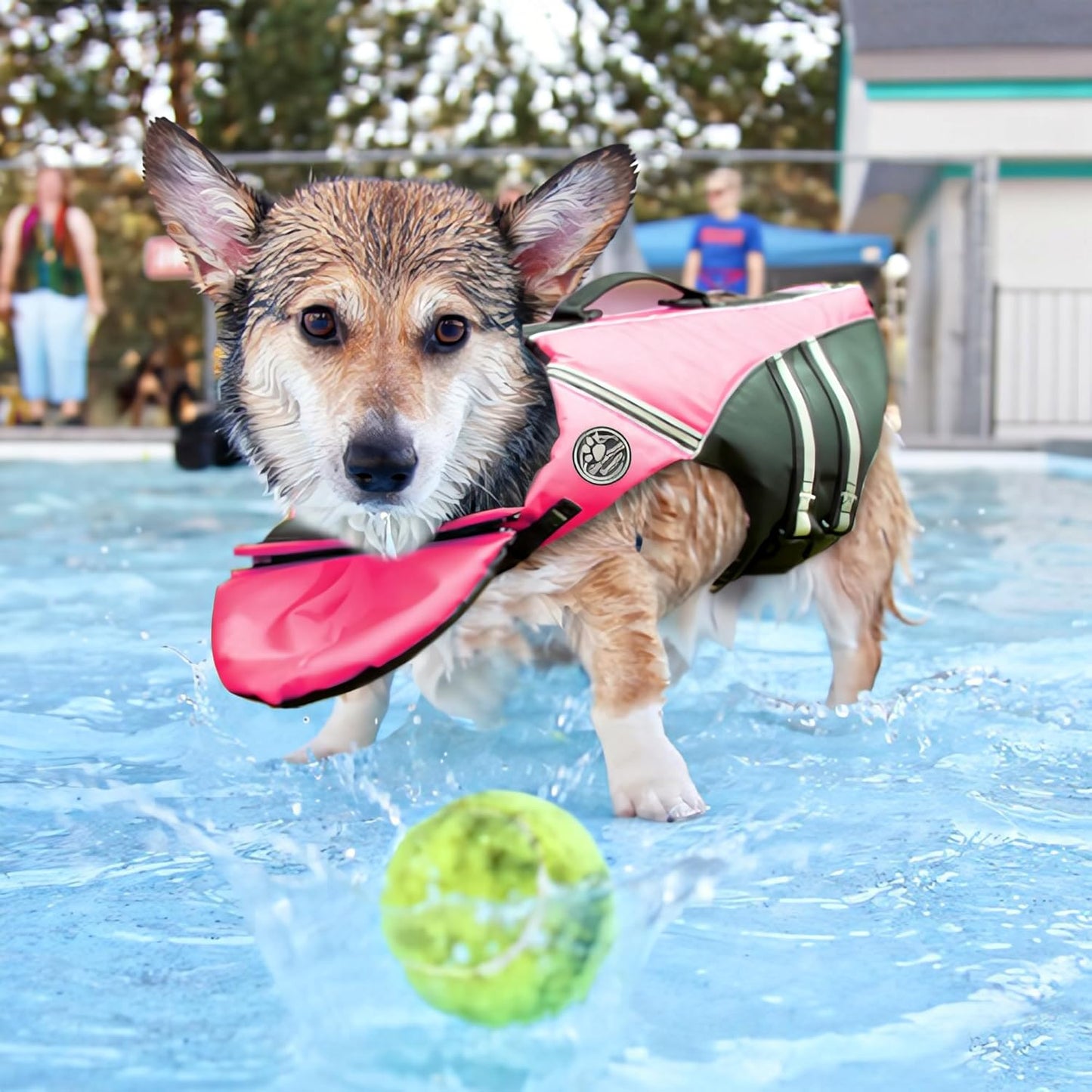 ZushyDog Life Jacket