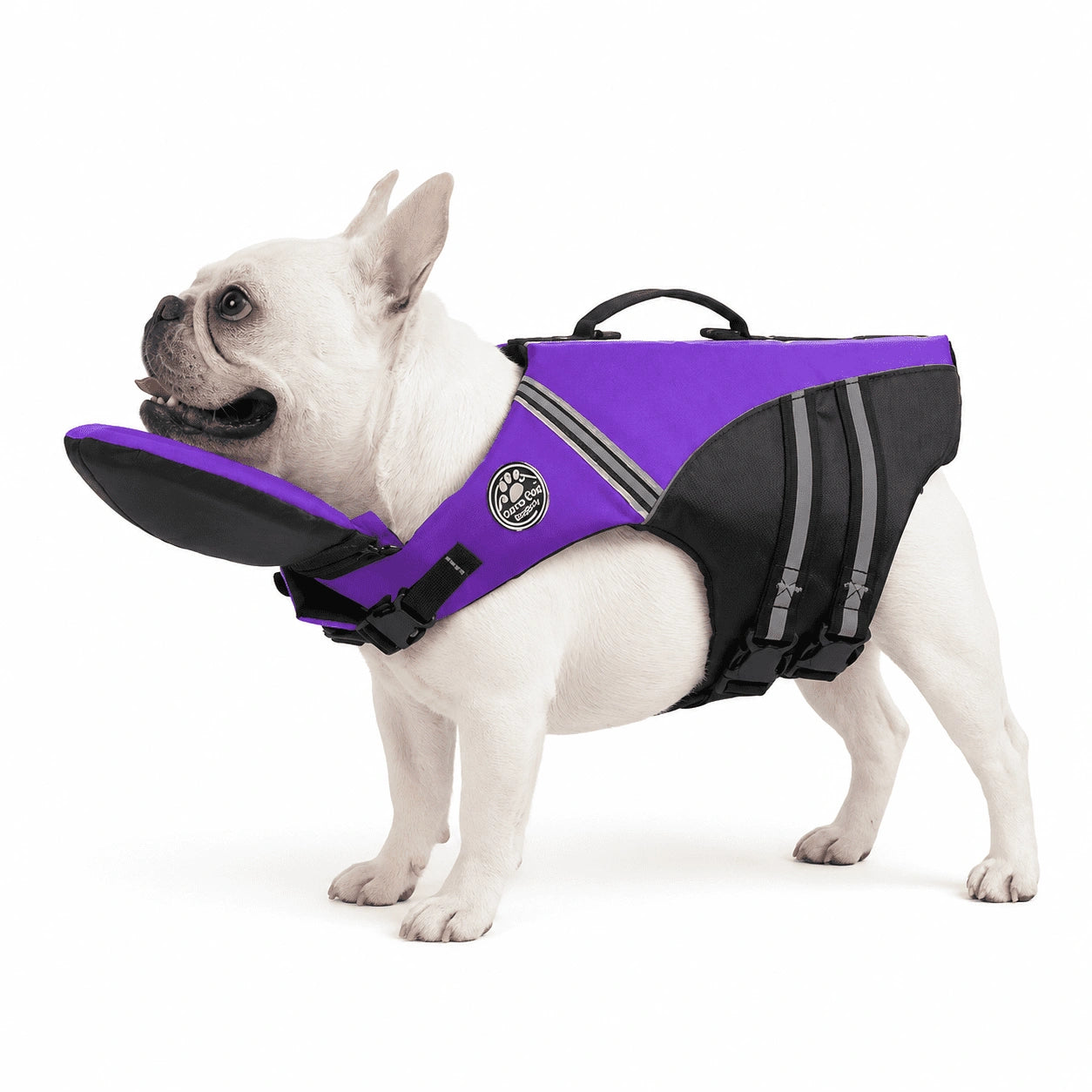 Dog Life Jacket With Chin Support