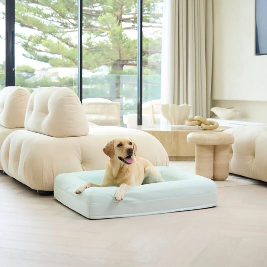 Cooling Dog Bed - Stone Memory Foam – Zushy Dogs