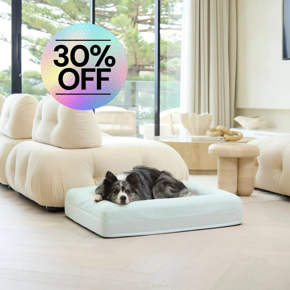 Cooling Dog Bed - Eucalyptus Memory Foam