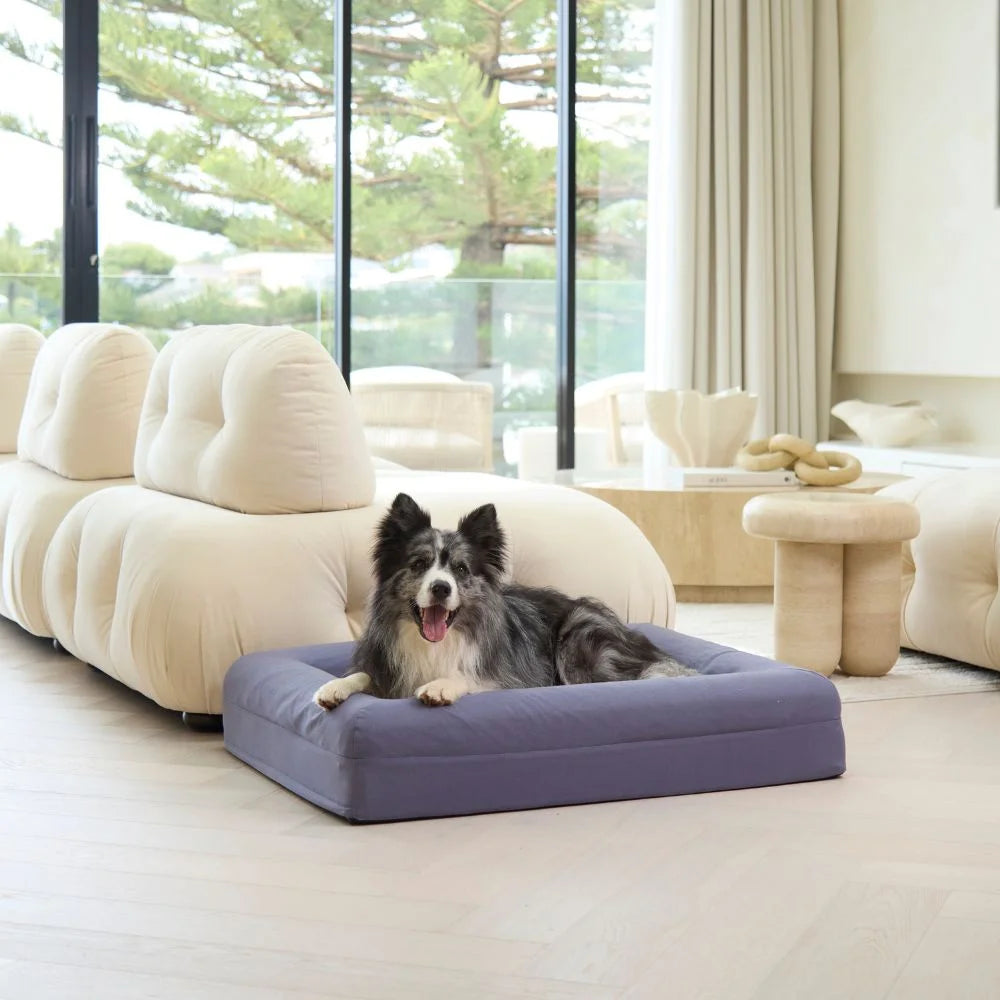 Cooling Dog Bed - Midnight Memory Foam