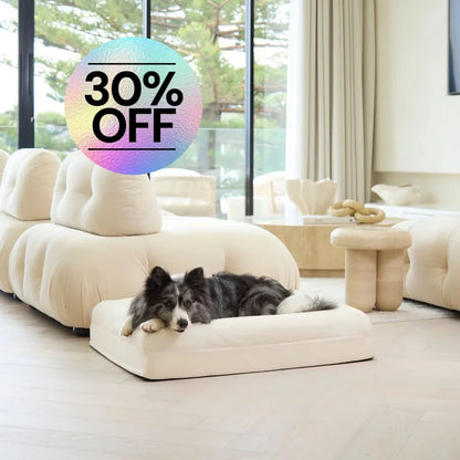 Cooling Dog Bed - Natural Memory Foam