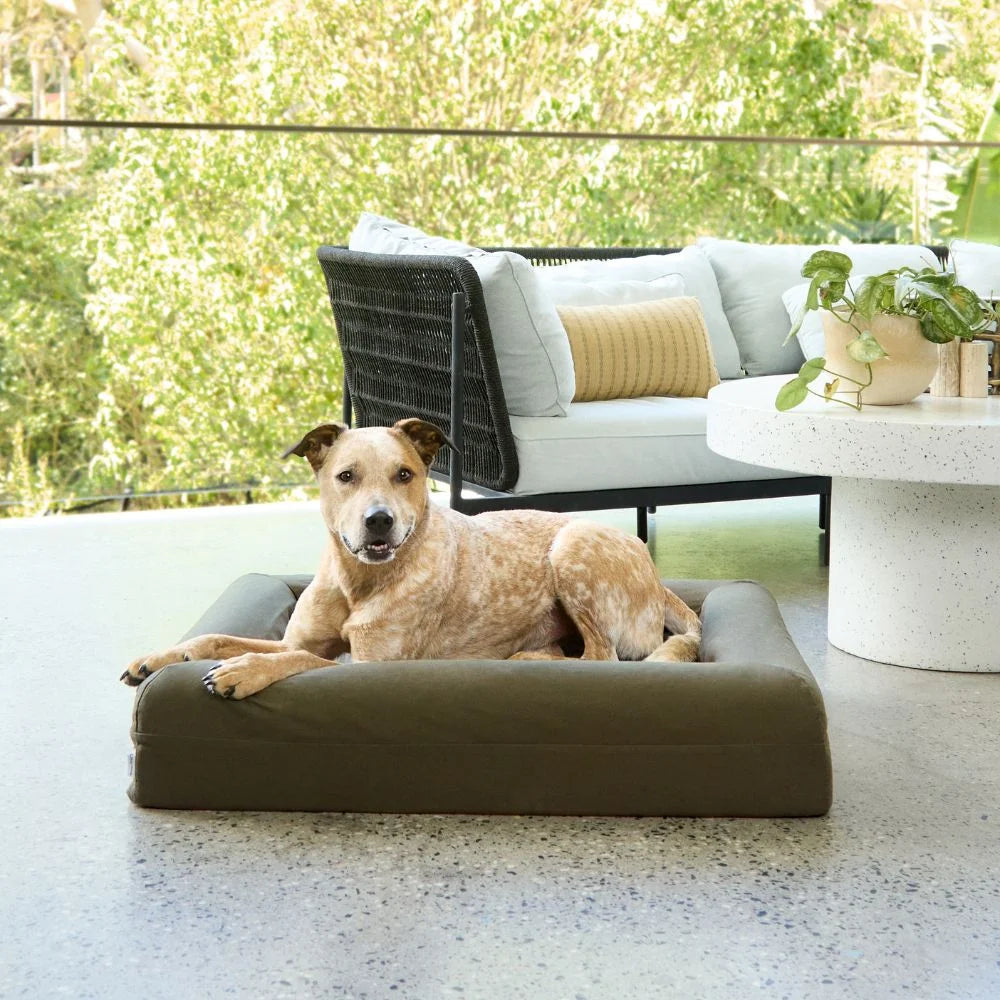 Cooling Dog Bed - Seaweed Memory Foam