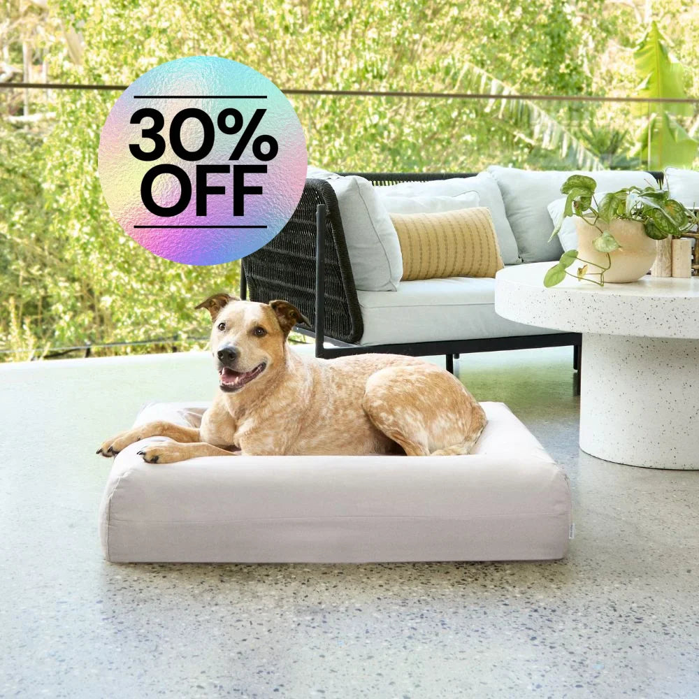 Cooling Dog Bed - Stone Memory Foam