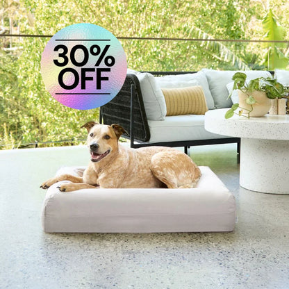 Cooling Dog Bed - Stone Memory Foam