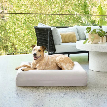 Cooling Dog Bed - Stone Memory Foam