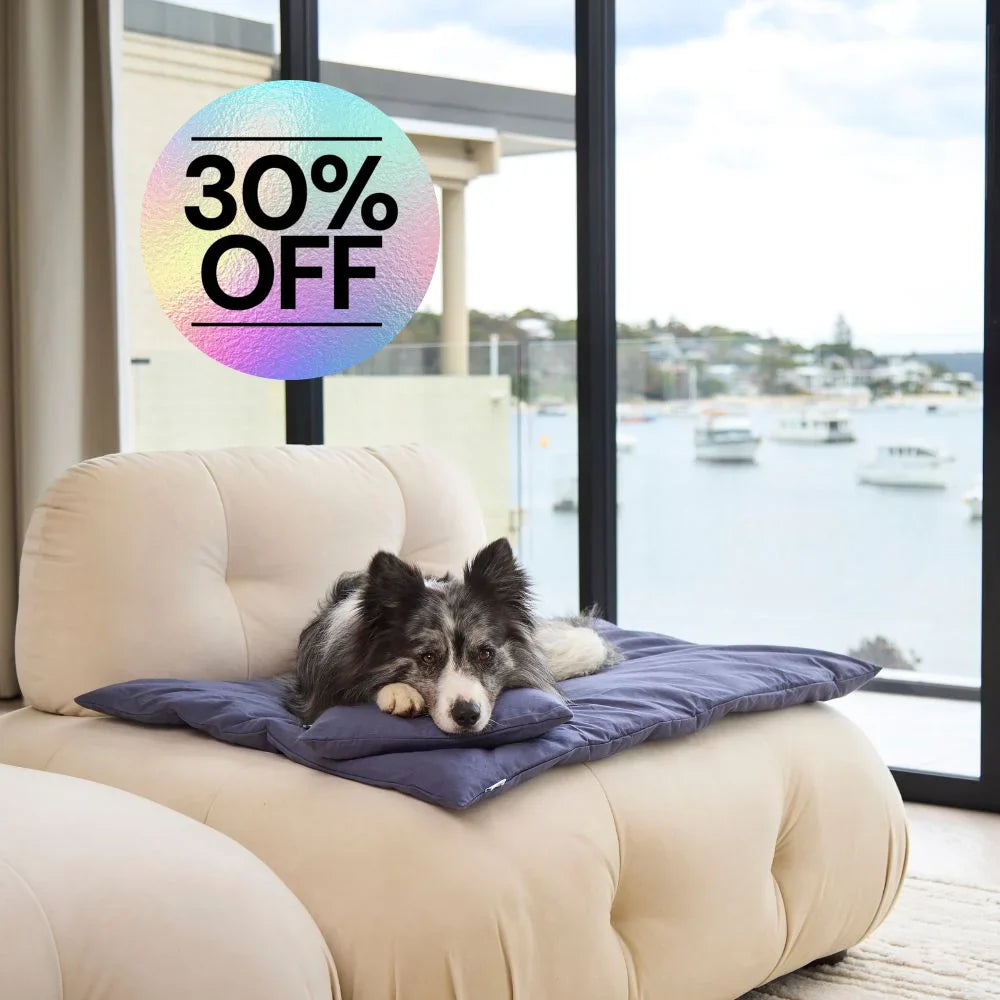 Cotton Lounger - Midnight