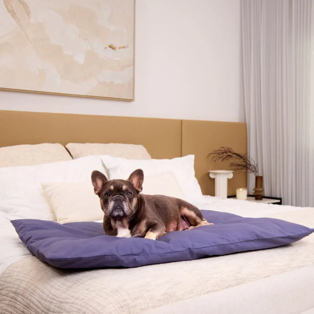 Cotton Lounger - Midnight