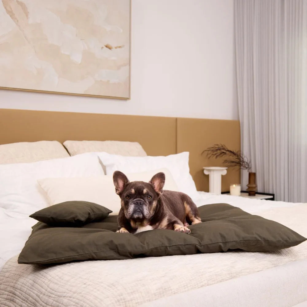 Cotton Lounger - Seaweed