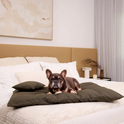 Cotton Lounger - Seaweed