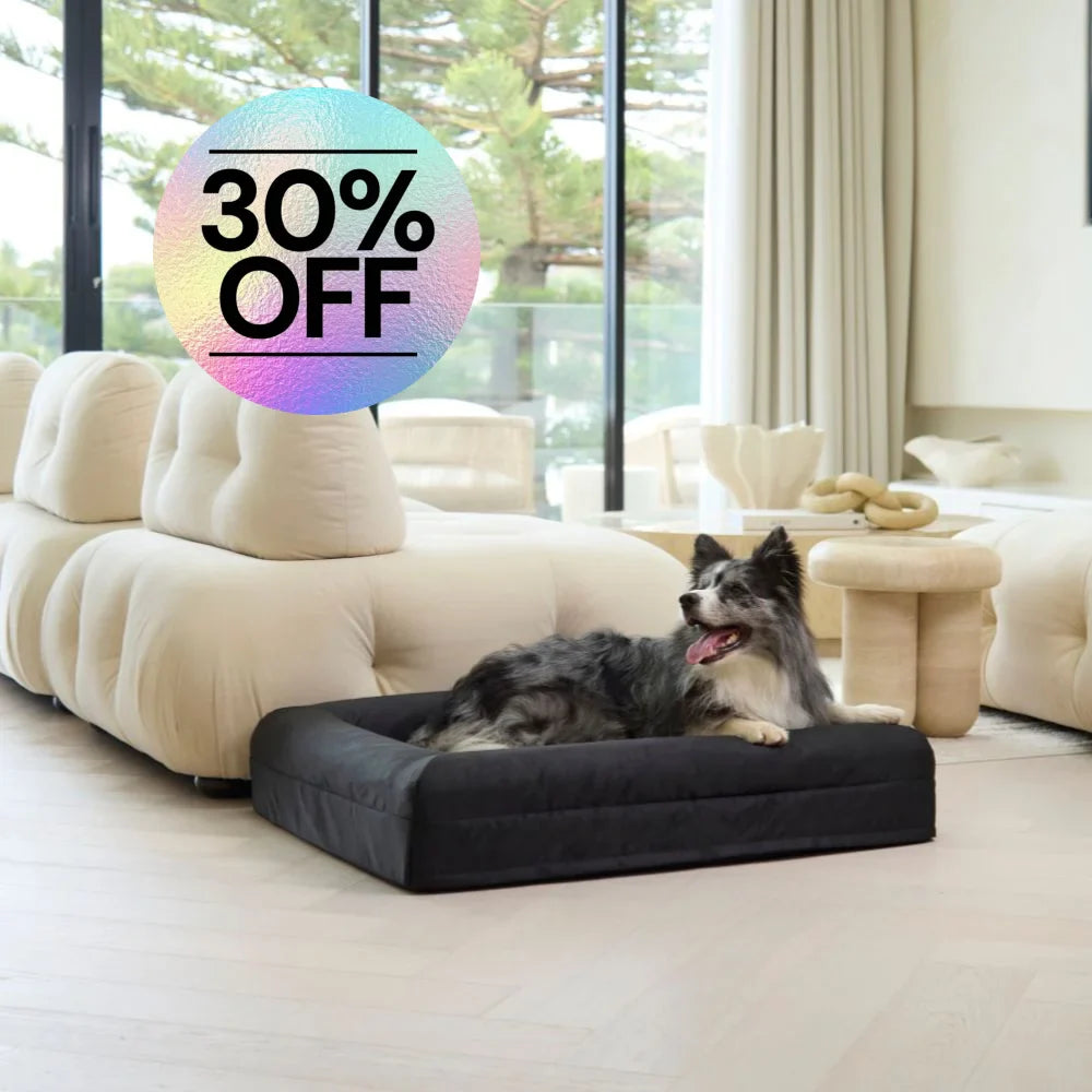 Cover - Armour Black