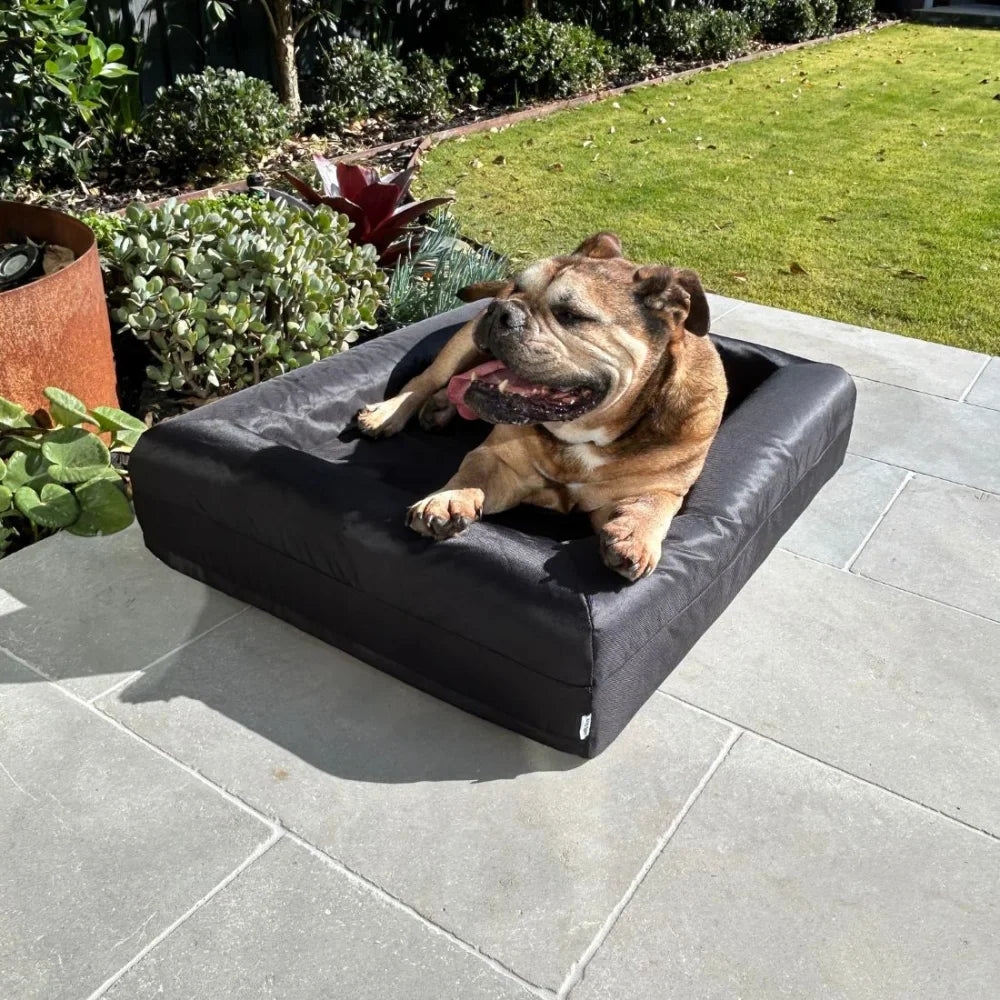 Cover - Armour Black