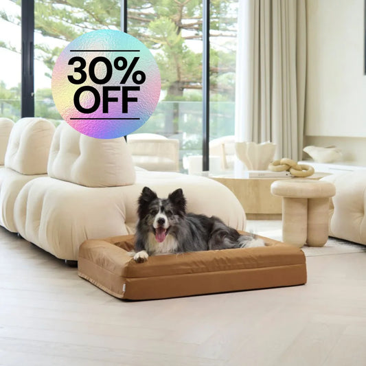 Cover - Armour Hamilton Brown