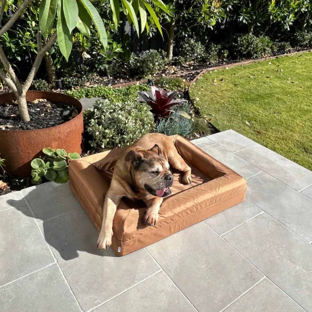 Cover - Armour Hamilton Brown