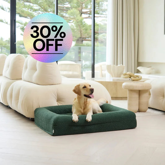 Cover - Boucle Forest