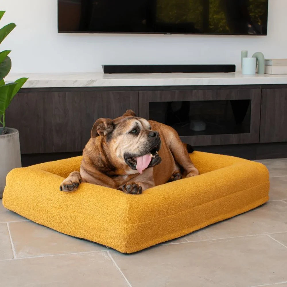 Cover - Boucle Mustard