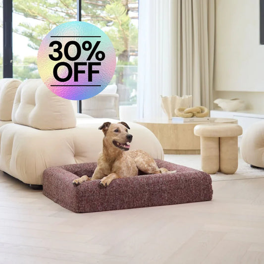 Cover - Boucle Speckle Red