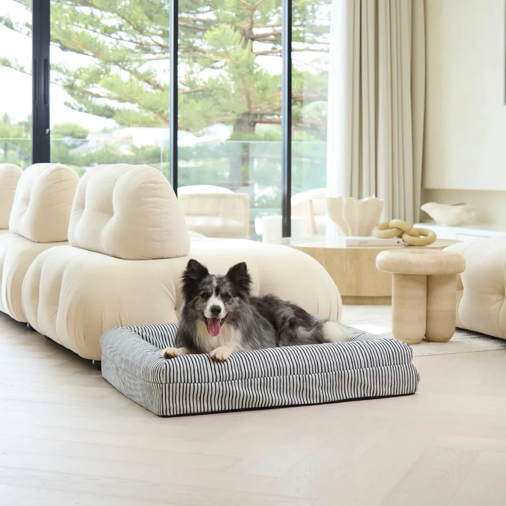 $50 Cover - Canvas Navy Lines