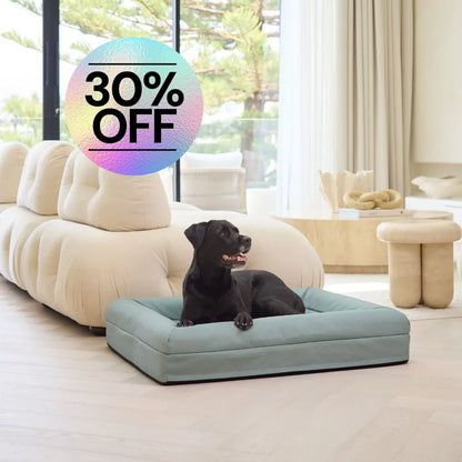 Cover - Canvas Seafoam