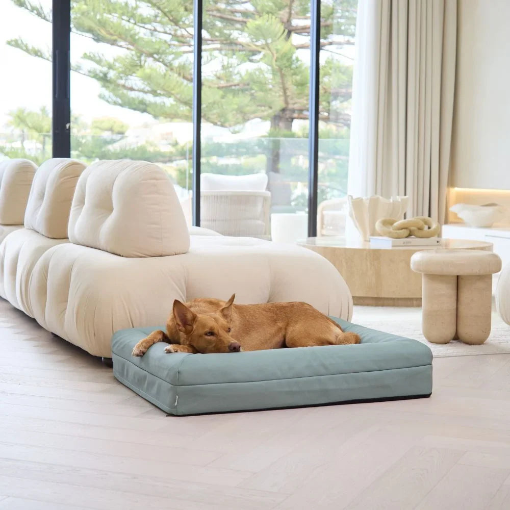 Cover - Canvas Seafoam