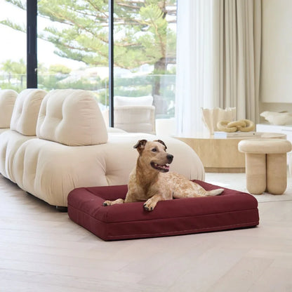 Cover - Canvas Spiced Apple