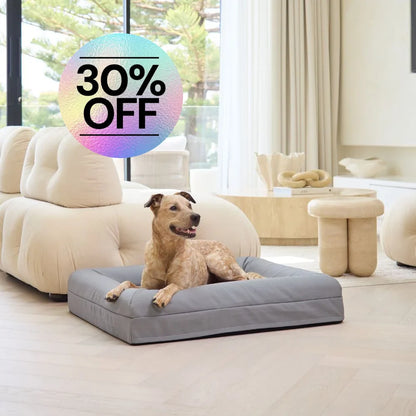 Cover - Canvas Sterling