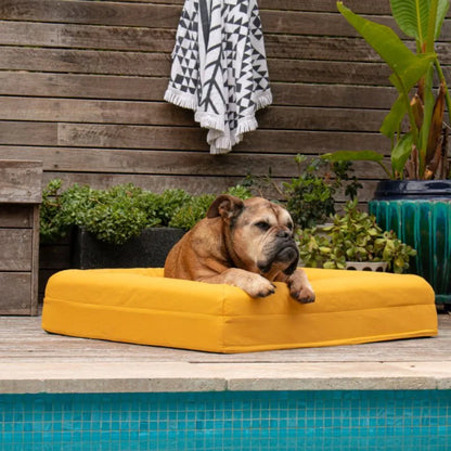 Cover - Cooling Amber