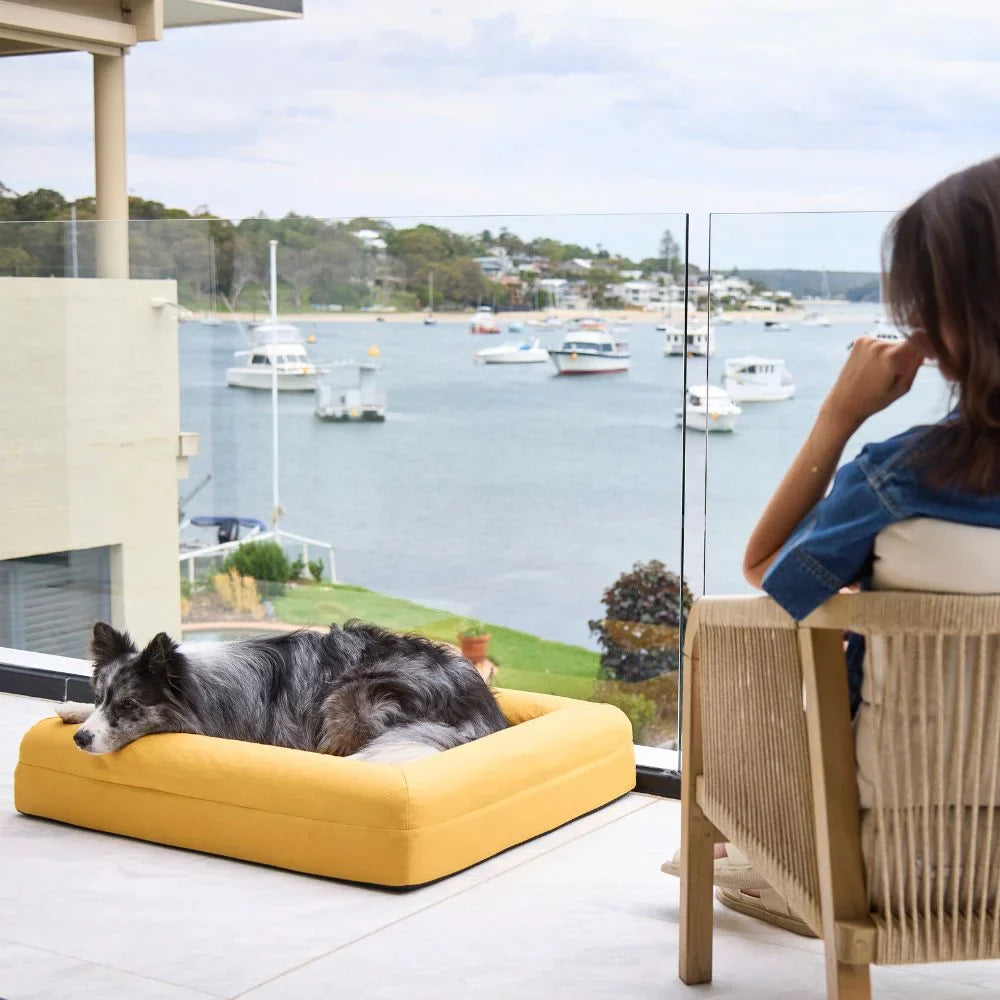 Cover - Cooling Amber