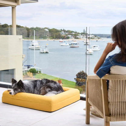 Cover - Cooling Amber