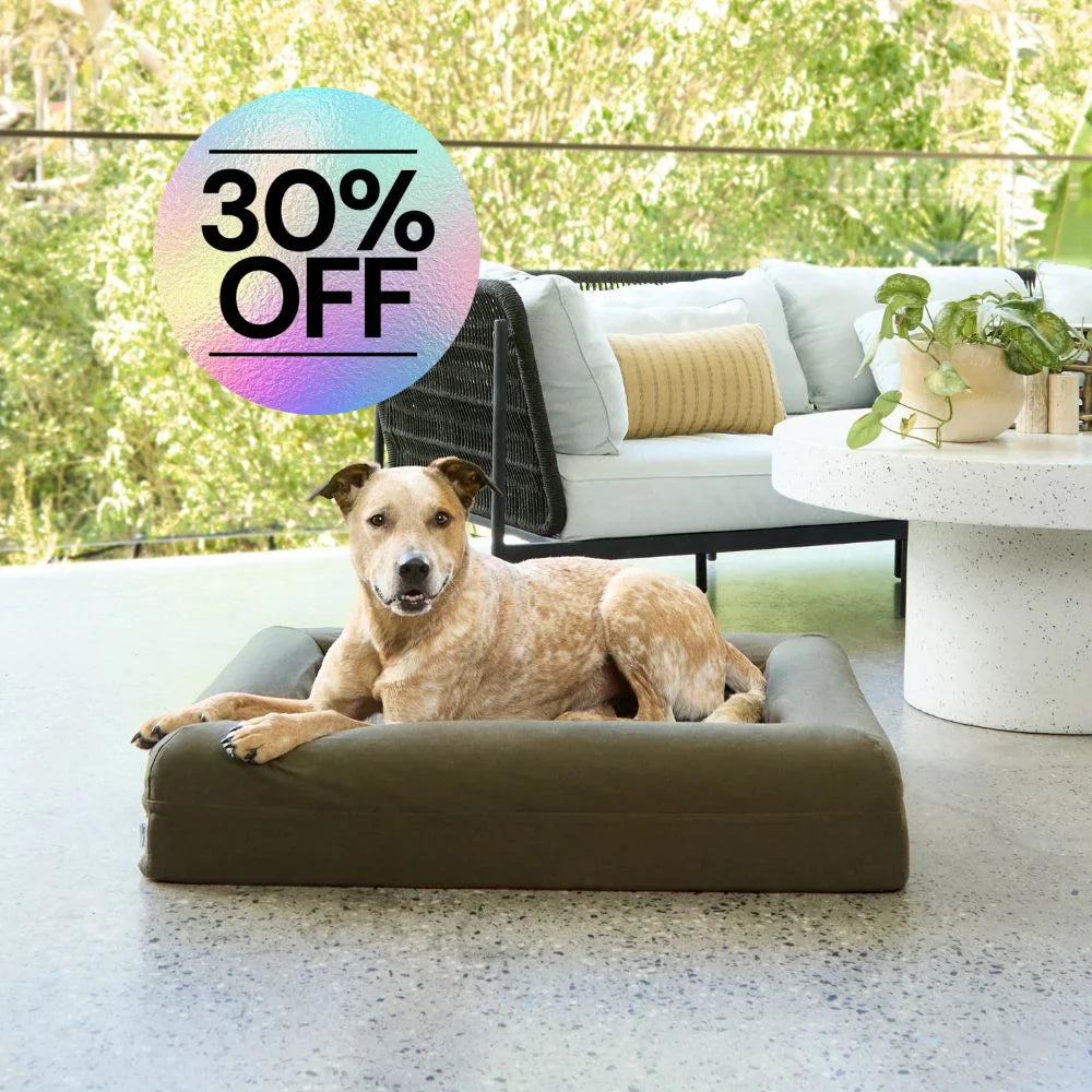 Cover - Cooling Seaweed