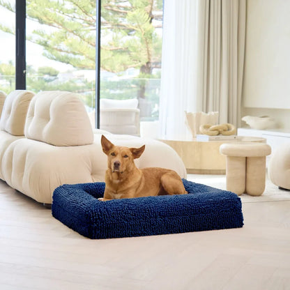 $50 Cover - Noodle Midnight Blue