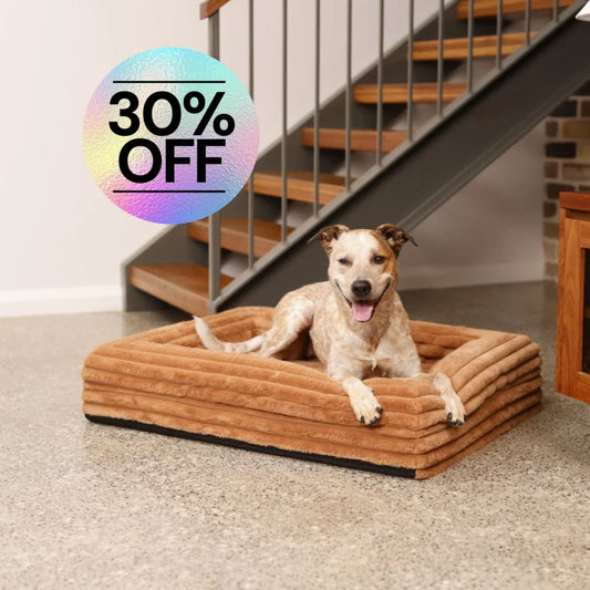 Cover - Puffer Nutmeg