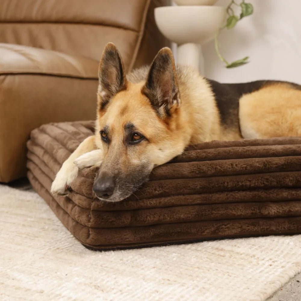 Cover - Puffer Truffle