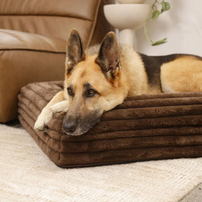 Cover - Puffer Truffle