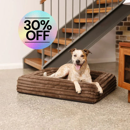 Cover - Puffer Truffle