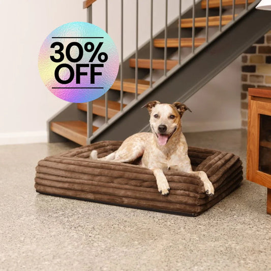 Cover - Puffer Truffle