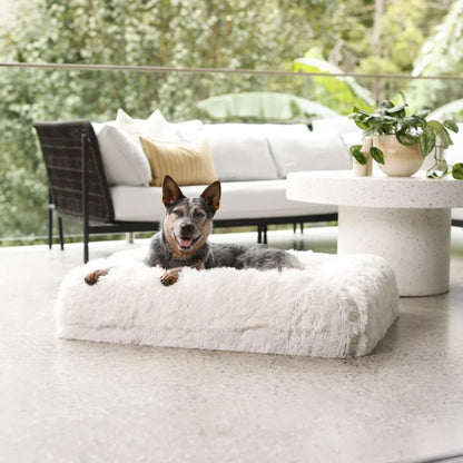 Cover - Quick Shag Cream