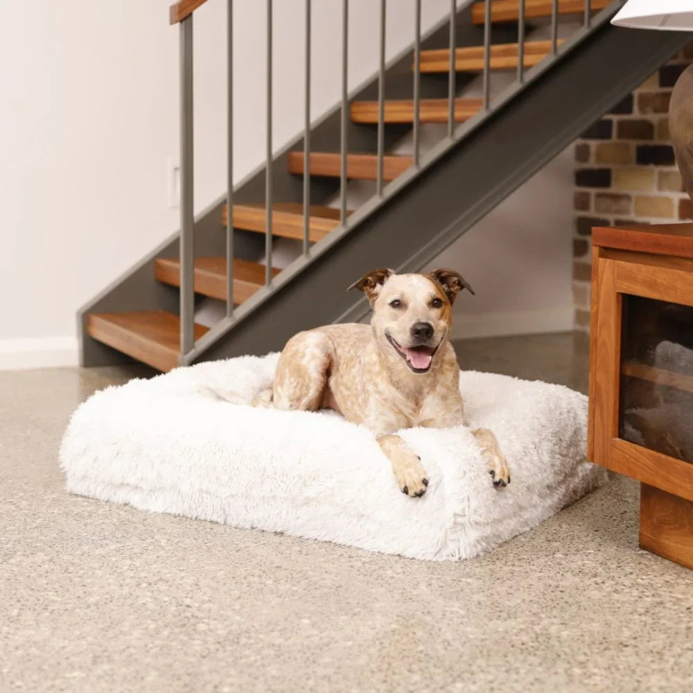 Cover - Quick Shag Cream